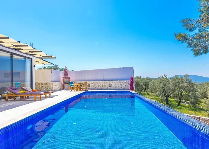 Uzumlu Village 1 Bedroom Villa *